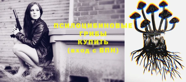 первитин Касимов