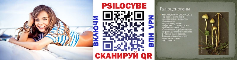 Купить  Бежецк  Галлюциногенные грибы MAGIC MUSHROOMS 